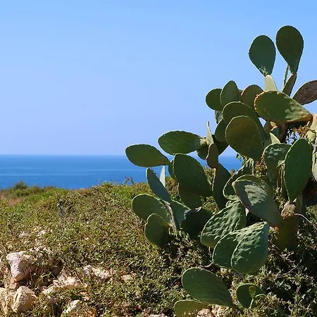 Salento Tra Mare E Cielo *